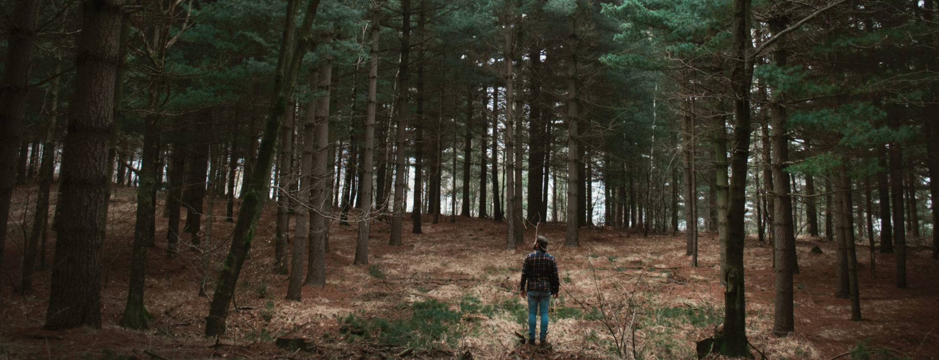 header einkauf