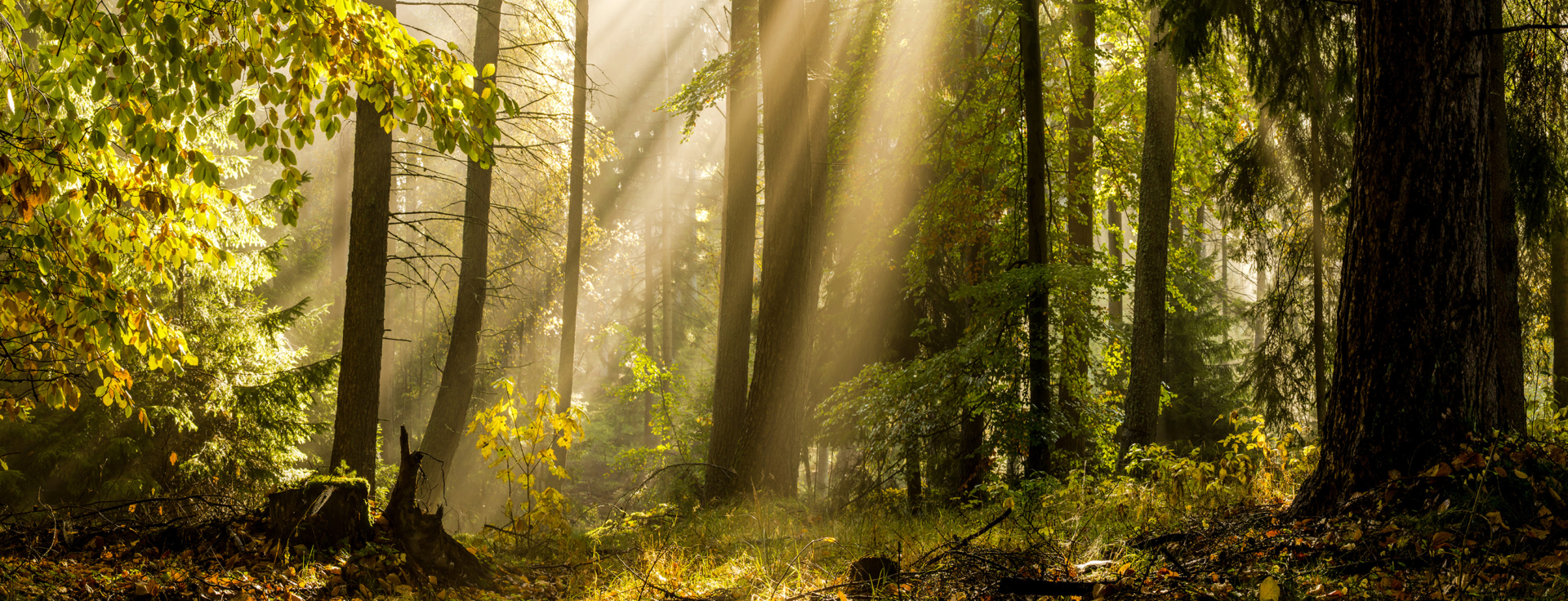 header unternehmen 250623